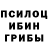 Галлюциногенные грибы MAGIC MUSHROOMS ILIA ADAMIA