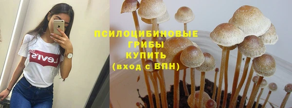 бутират Алзамай