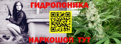 прущие крисы Гусиноозёрск