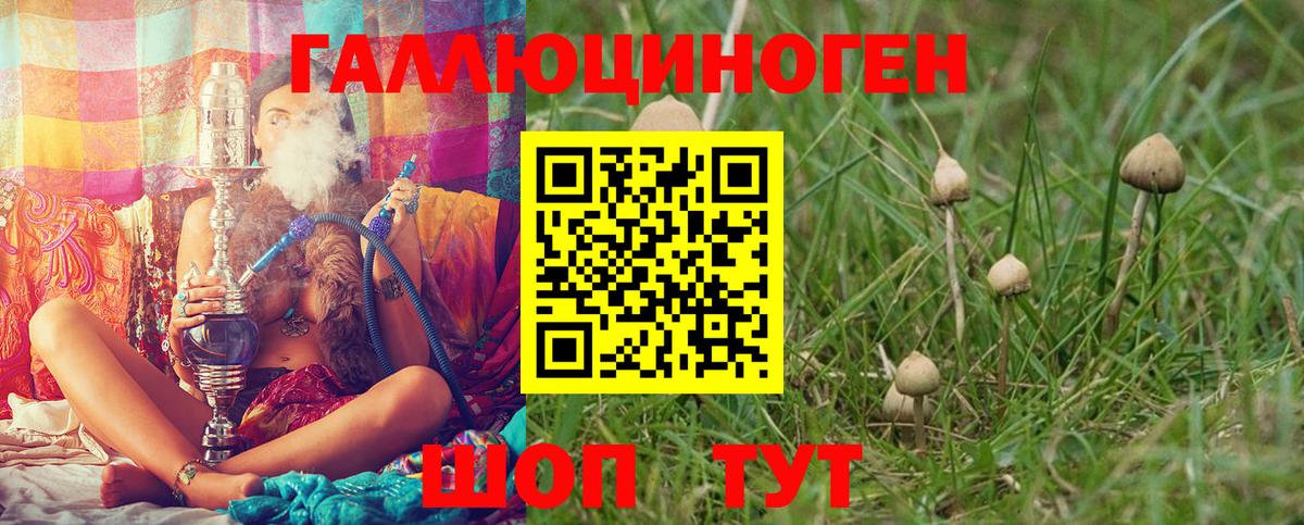Миасс  Псилоцибиновые грибы Psilocybe  Вход с VPN 
