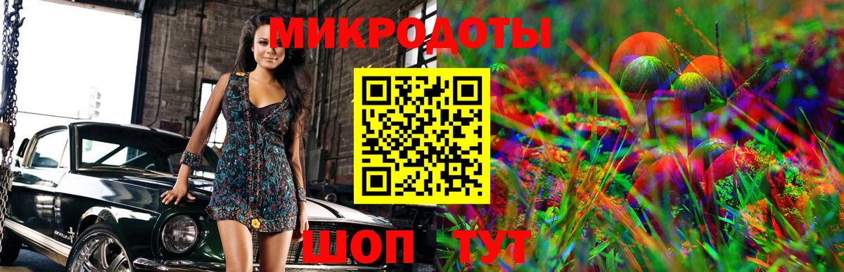 Псилоцибиновые грибы Psilocybine cubensis Миасс